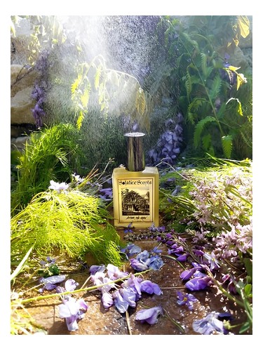 After the Rain by Solstice Scents