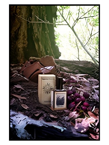 Black Forest by Solstice Scents