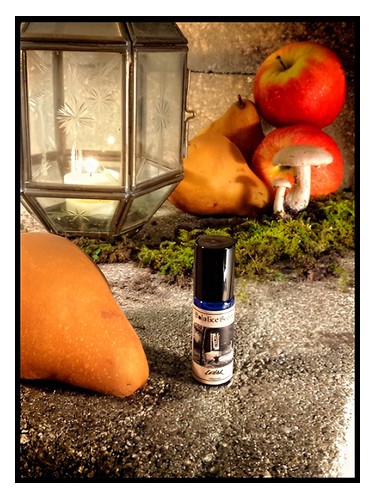 Cellar by Solstice Scents