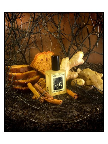 Dark Ginger Spicecake by Solstice Scents