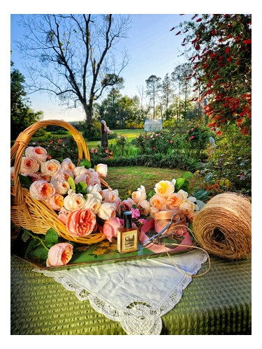 Estate Rosarium by Solstice Scents