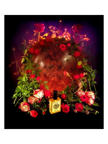 Orient Rose by Solstice Scents
