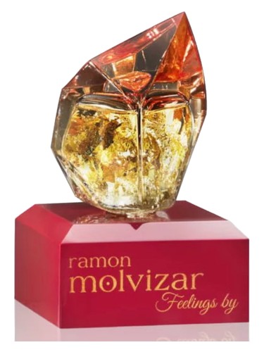 Feelings by Ramon Molvizar