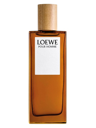 Pour Homme by Loewe