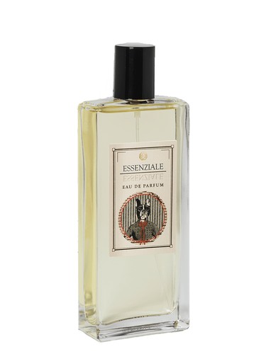 Essenziale by Logevy Firenze 1965